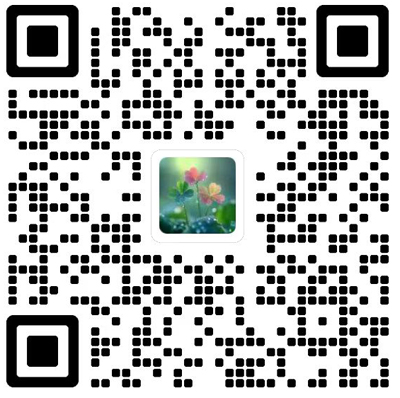 中国民族民间医药杂志模板