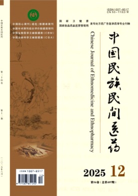 中国民族民间医药杂志